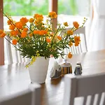 Vasekoja Holiday Center Country house