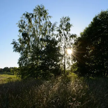 Vasekoja Center * Vahtseliina