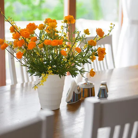 Vasekoja Holiday Center Maamaja