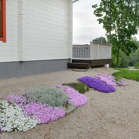 Vasekoja Holiday Center Vahtseliina