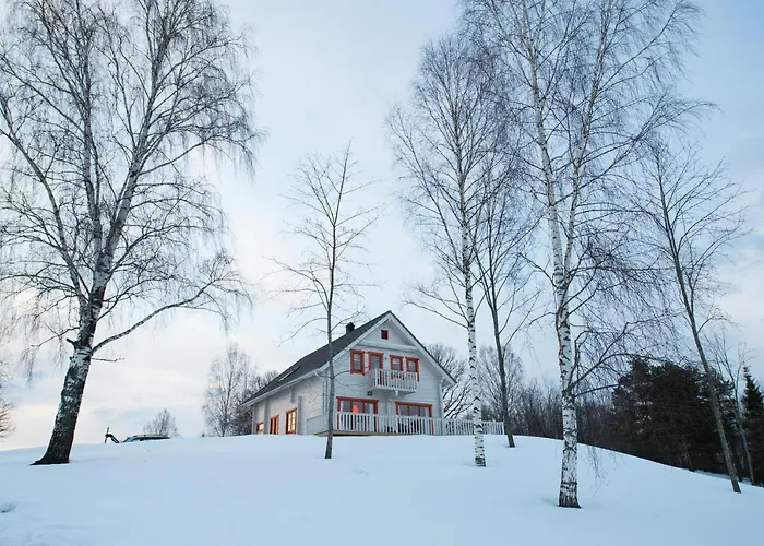 Vasekoja Center * Vahtseliina