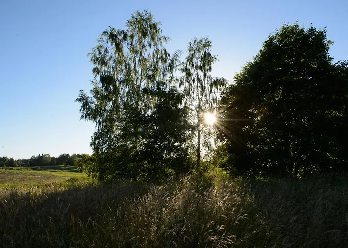 Vasekoja Center * Vahtseliina