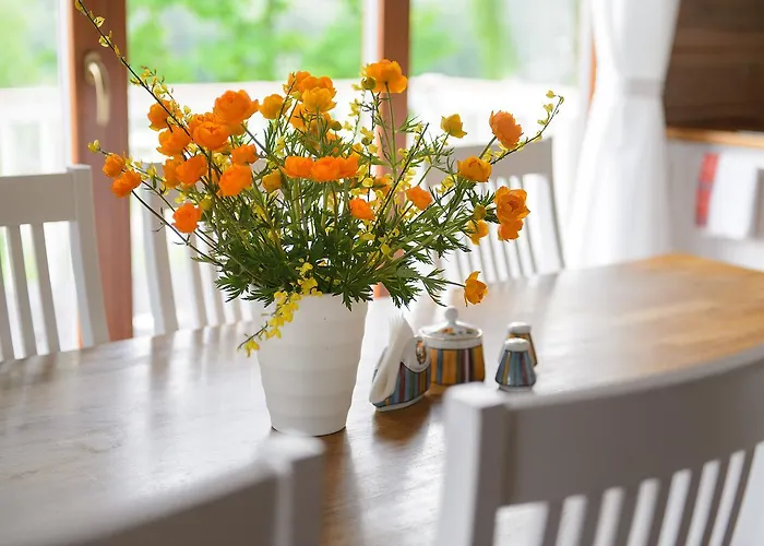 Vasekoja Center Летний дом